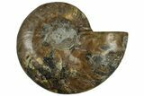Cut & Polished Ammonite Fossil (Half) - Madagascar #318023-1